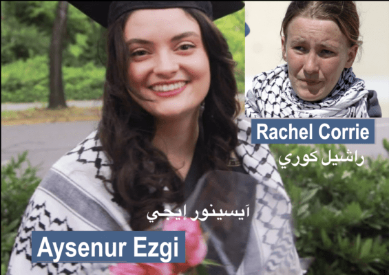 Screenshot 2024 09 08 At 7.31.29 pm 1